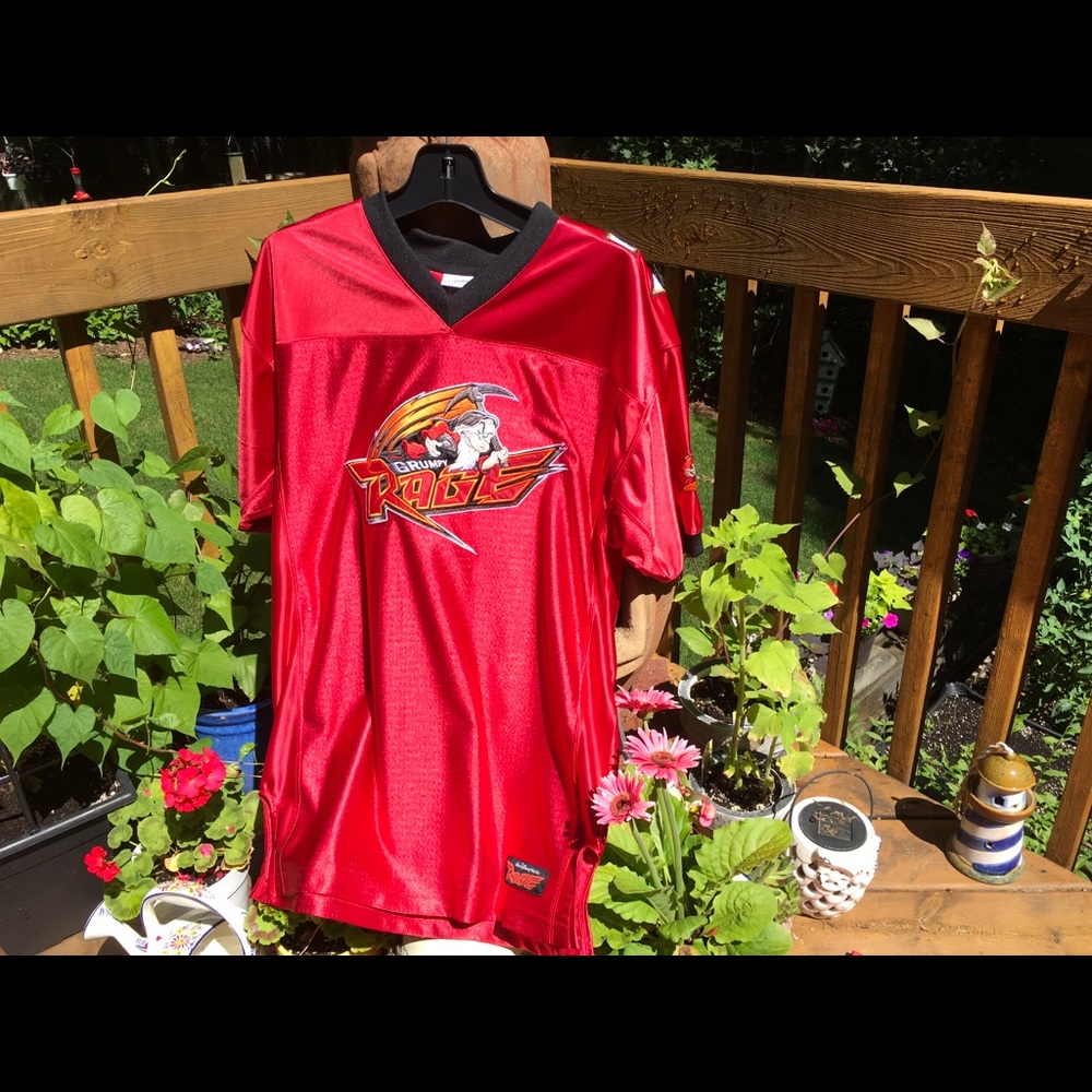 Walt Disney World Grumpy Jersey